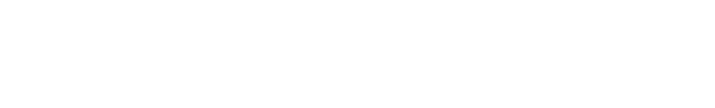 Bot Founders